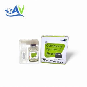 ABICEF-3 gm