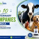 veterinary PCD company in India