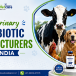 Veterinary Antibiotic Manufacturers in India