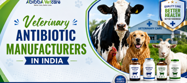 Veterinary Antibiotic Manufacturers in India